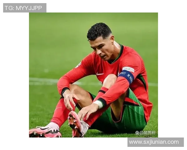 2018年葡萄牙足球明星的辉煌历程与精彩瞬间回顾