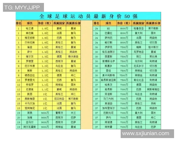 足球明星身价计算的背后因素与市场影响分析